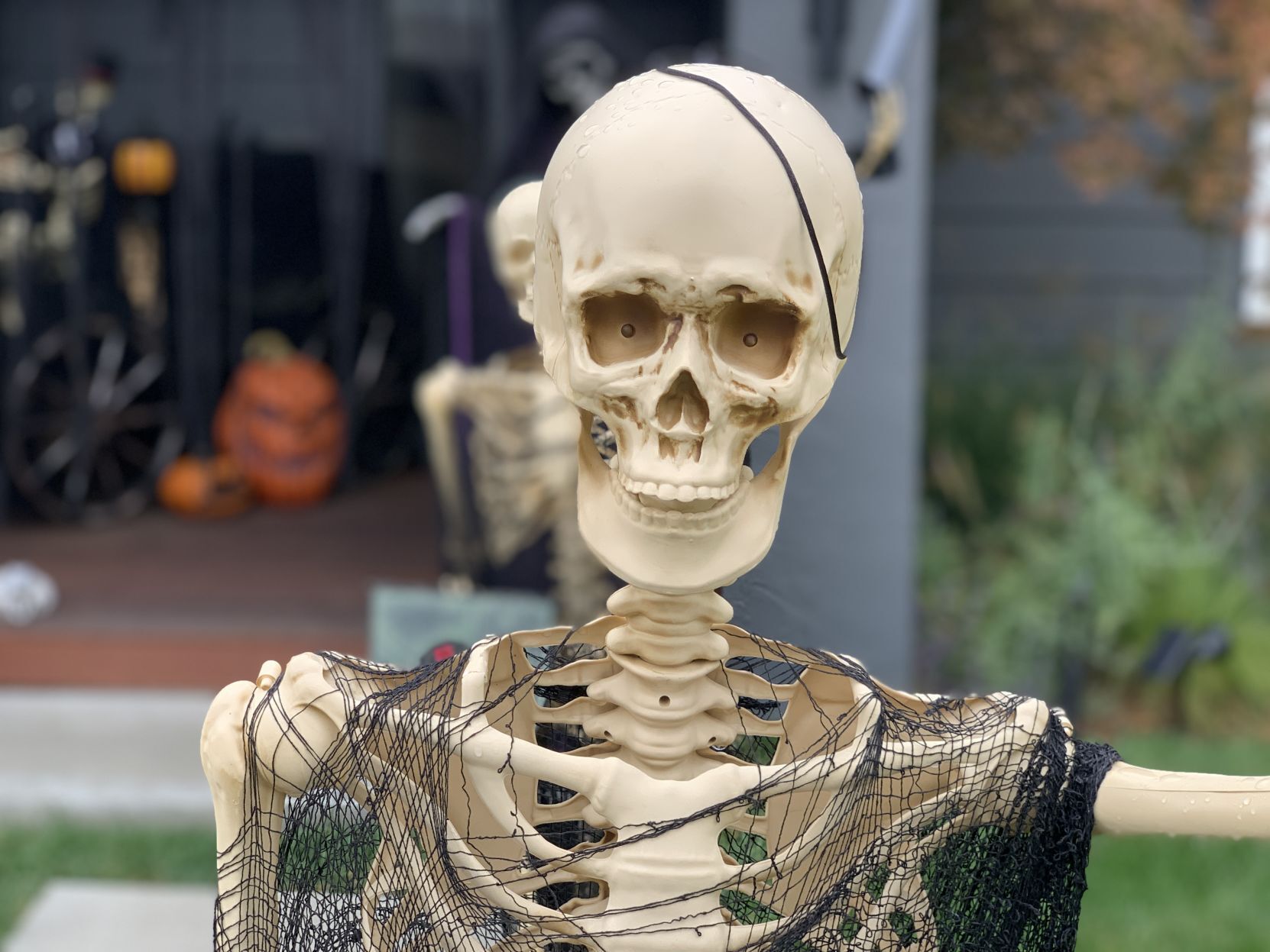 Skeletons take over Napa house for Halloween
